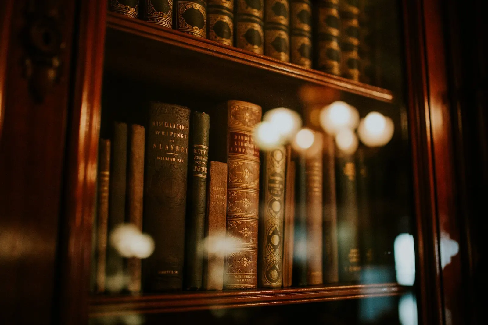 Biblioteca jurídica con volúmenes ordenados en sus estantes