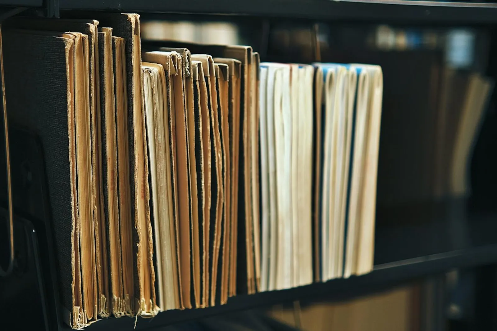 Expedientes archivados en el estante del estudio